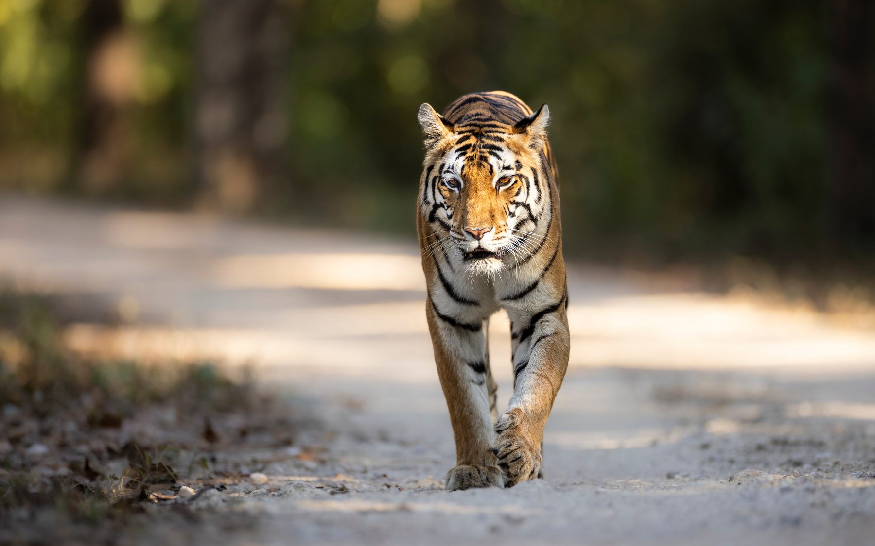 The elusive Sunaina walks towards us