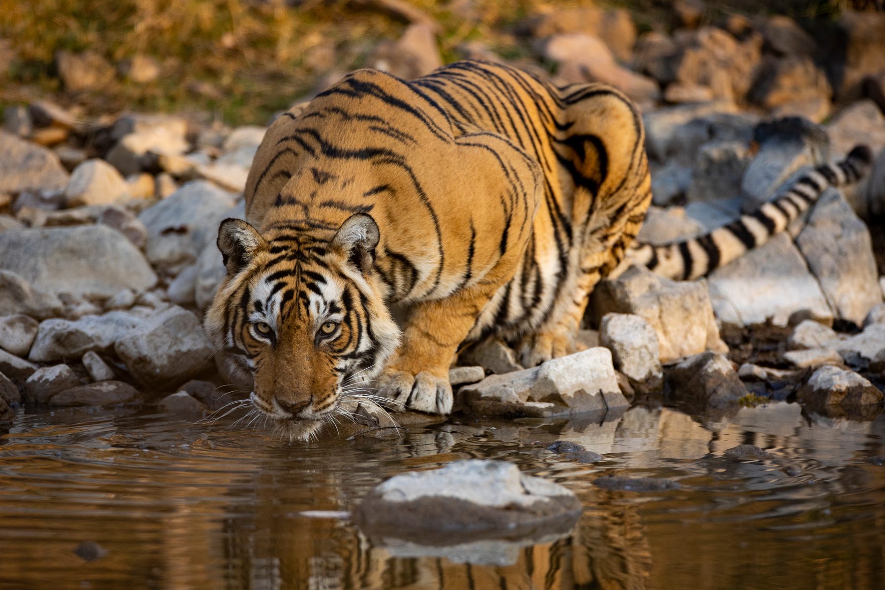 Laila drinks water on a winters morning