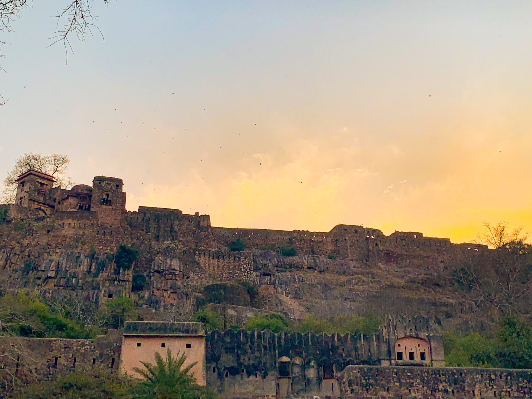 The Ranthambore fort at sunset