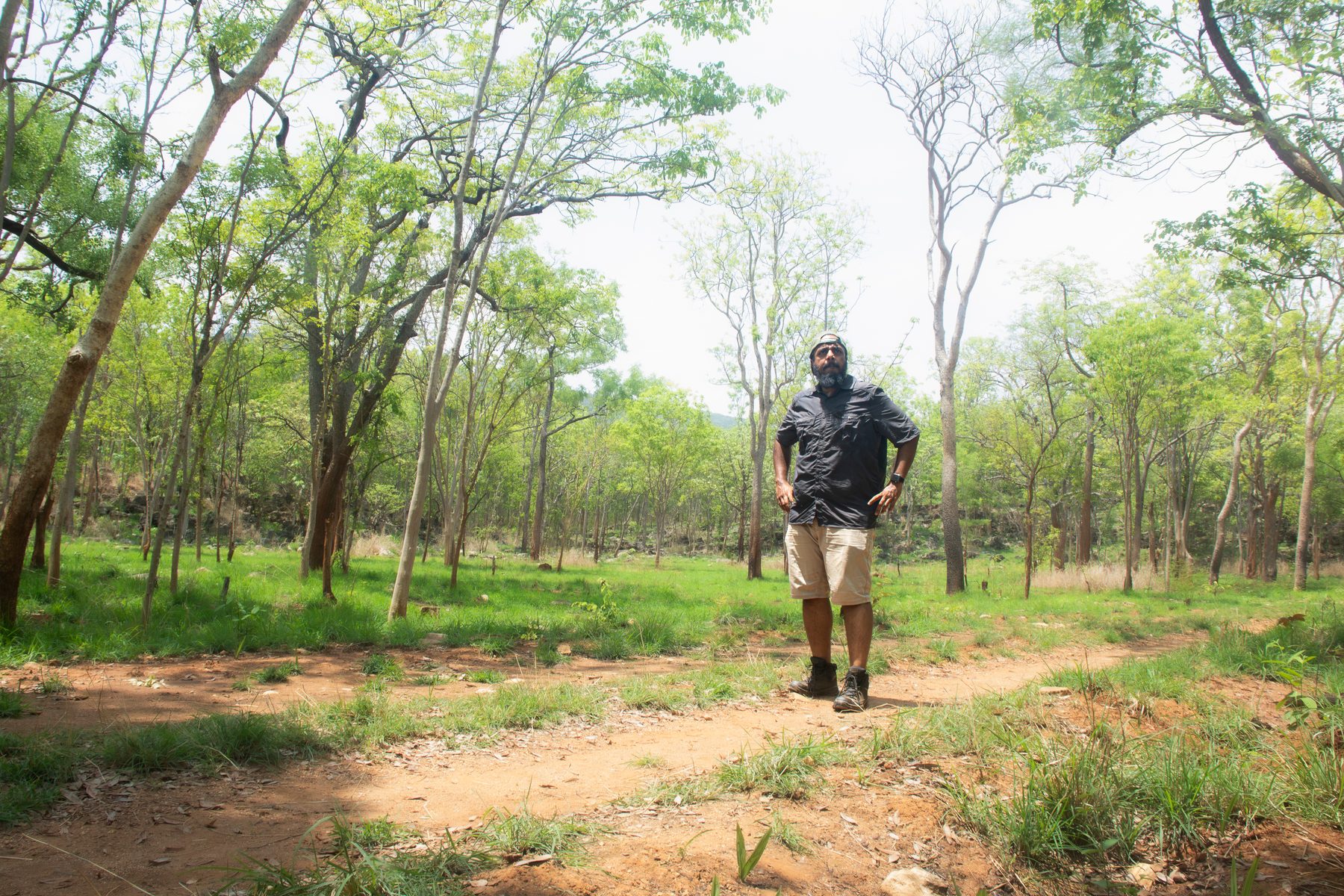 Lala standing on a dirt track through open green sal forest, hands on hips, tall bare-trunked trees rising around him