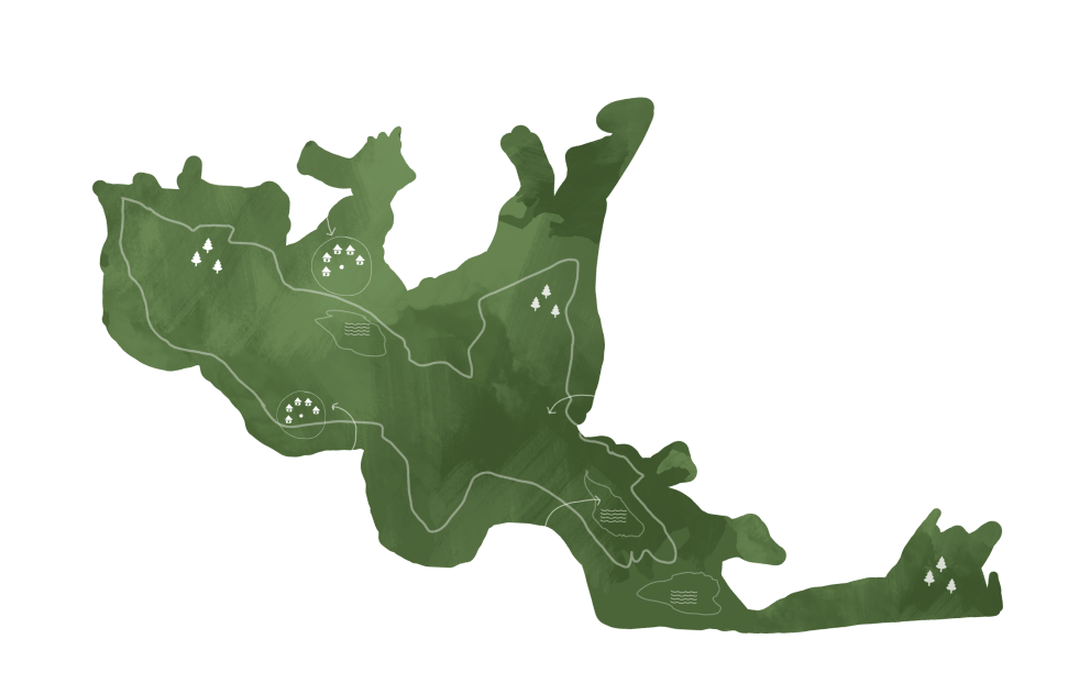 An illustrated green watercolour map of Bandipur National Park, marking the buffer zone, rivers and the safari camps within it