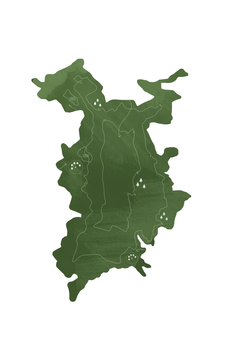An illustrated green watercolour map of Nagarhole (Kabini) National Park, marking the buffer zone, rivers and the safari camps within it