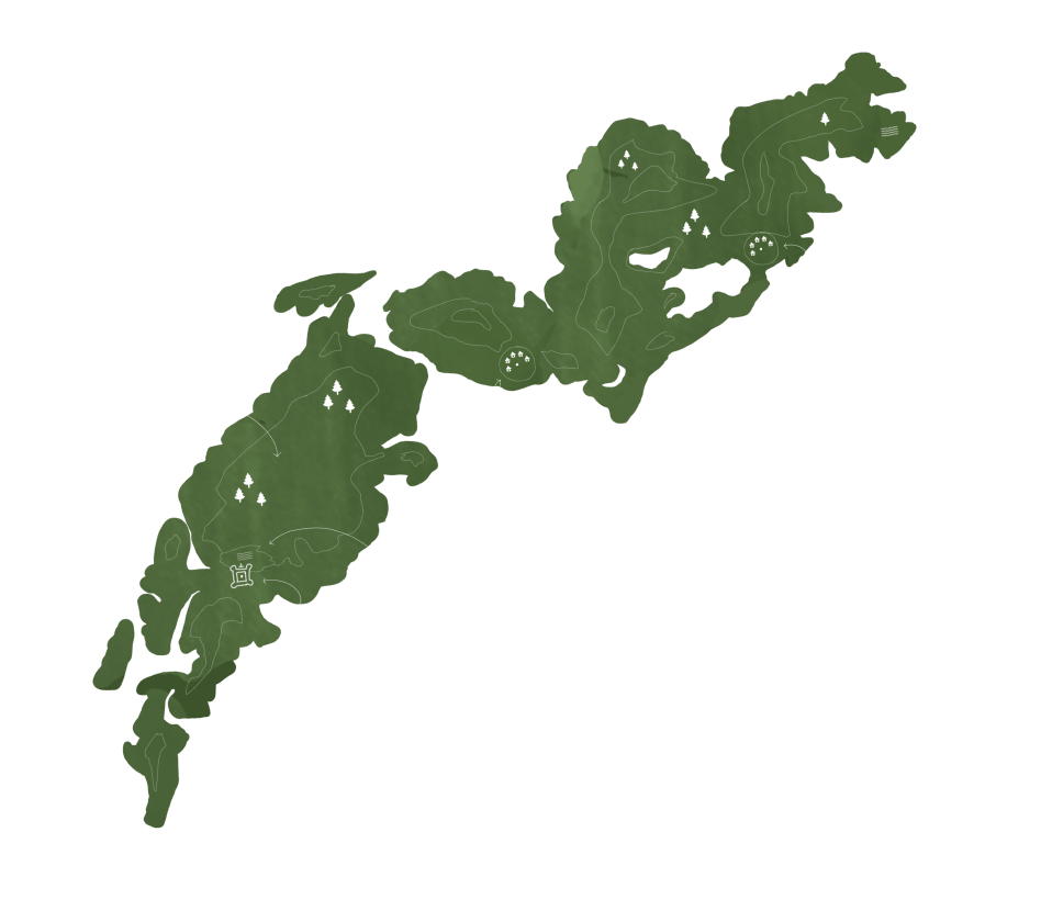 An illustrated green watercolour map of Ranthambore National Park, marking the buffer zone, rivers and the safari camps within it